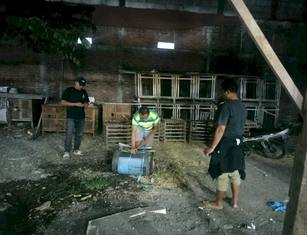 Polsek Waru Tindak Lanjuti Aduan Arena Sabung Ayam di Desa Berbek